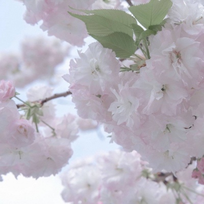 兽设海洋场景创作Furry群